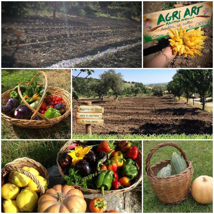 Agri Art Βίλα San Benedetto Ullano Εξωτερικό φωτογραφία