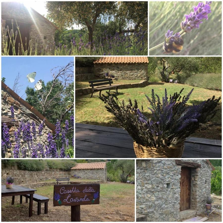 Agri Art Βίλα San Benedetto Ullano Εξωτερικό φωτογραφία
