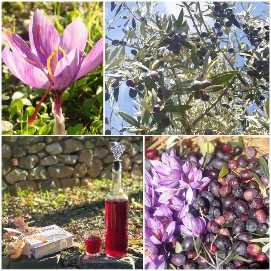 Agri Art Βίλα San Benedetto Ullano Εξωτερικό φωτογραφία