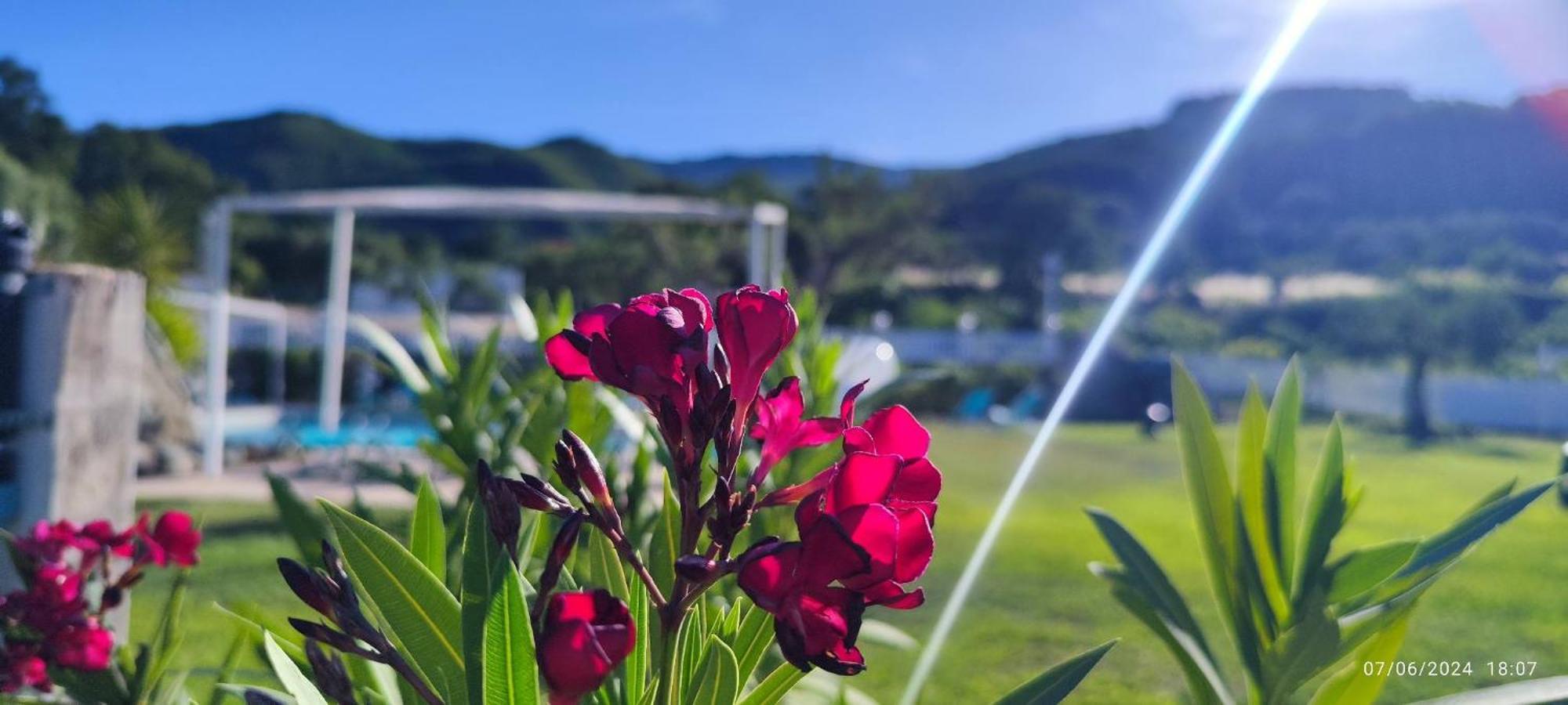 Agri Art Βίλα San Benedetto Ullano Εξωτερικό φωτογραφία